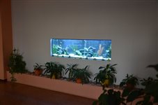 dsc 0208